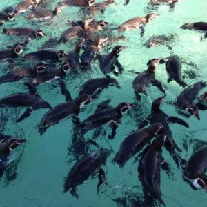 水族館